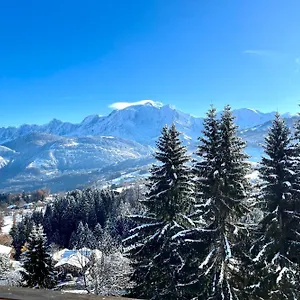 https://warm-family-apt-in-combloux.hotels-rhonealpes.com